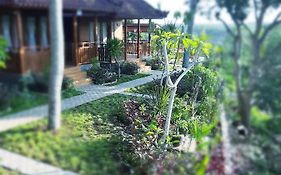 Kkorok Hill Cottage
